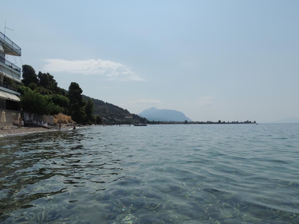 Panorama Daire Khrónia Oda fotoğraf
